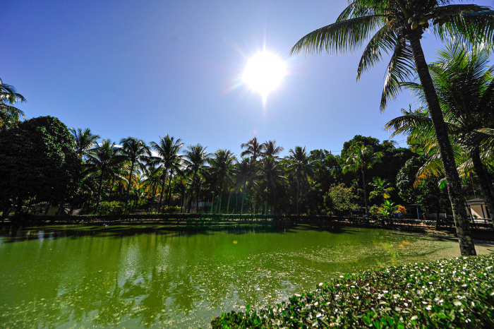Parque Municipal da Fazendinha - Centro Ecológico Projeto Caiman