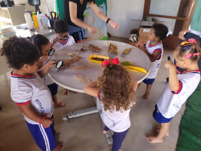 Estudantes e estagiários de Vitória visitam o Parque Pedra da Cebola