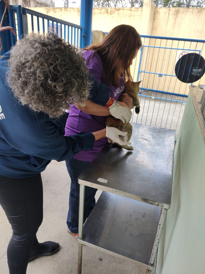 Campanha vacinou mais de 8,3 mil animais no último sábado (20).