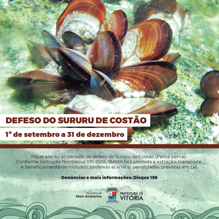 Defeso do sururu: período começa nesta sexta (1º) e vai até 31 de ...