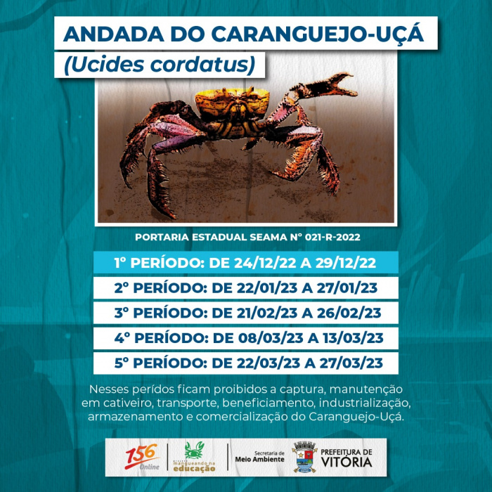 Período de andada do Caranguejo-Açu