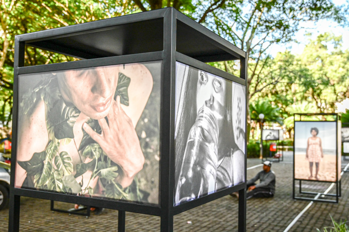 Montagem da Exposição 