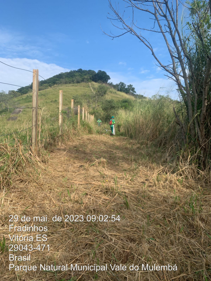 Parques naturais da capital contam com serviço de manutenção dos aceiros