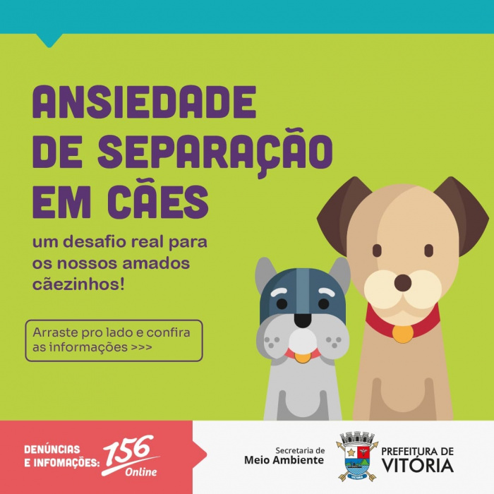 Enriquecimento ambiental – Cão Cidadão