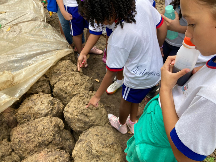 Parque Mulembá: estudantes fazem trilha e aprendem sobre Mata Atlântica