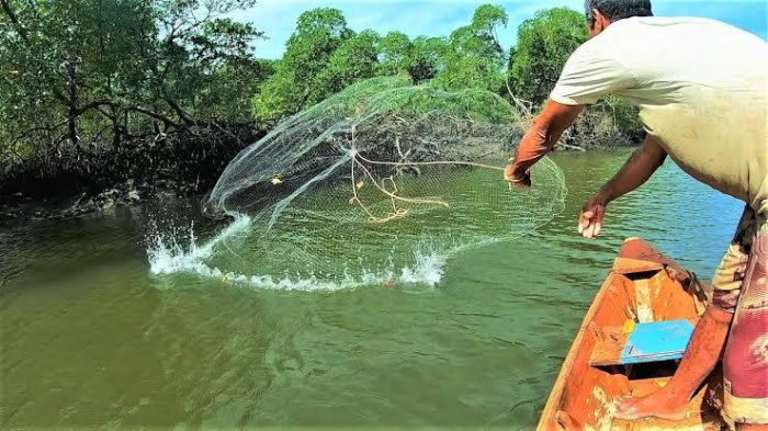 Pesca assistida