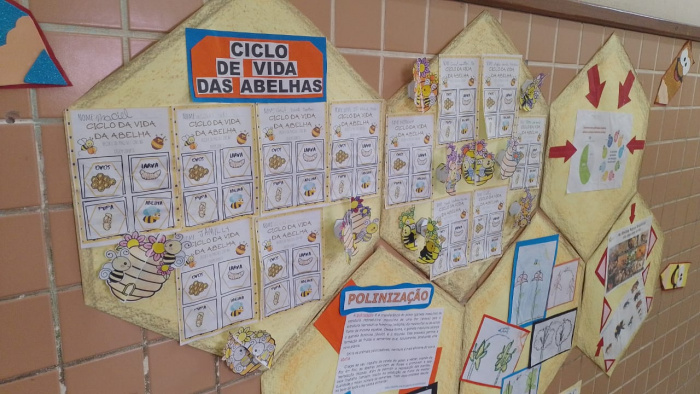 O Projeto SOS Abelhas envolveu estudantes com idades entre 9 e 11 anos