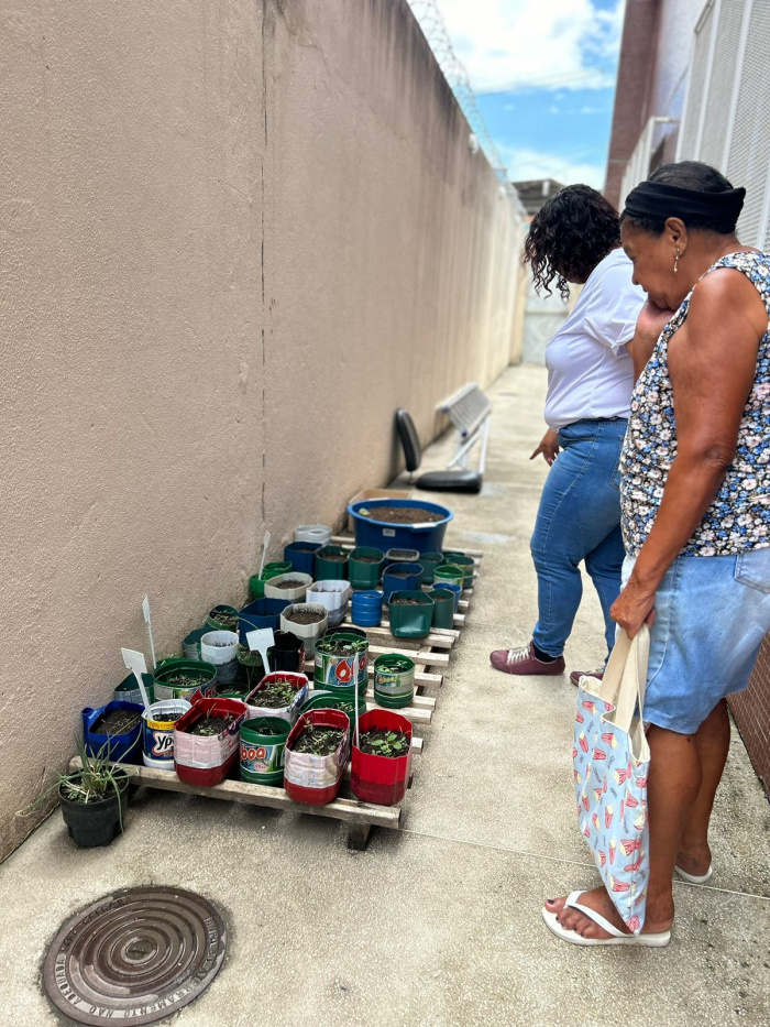 Projeto de sustentabilidade desenvolvido no Centro de Convivência de São Pedro