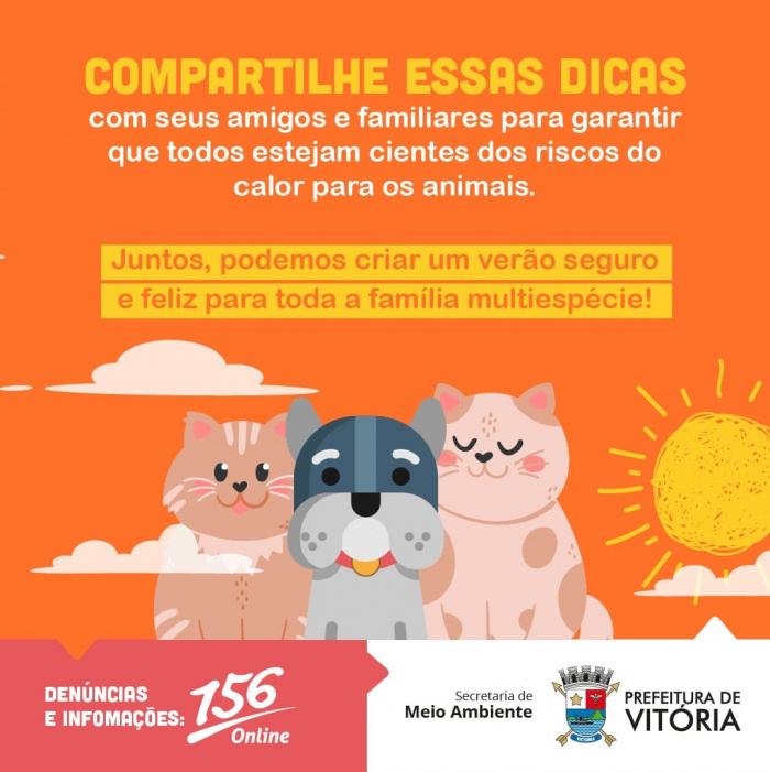 Dicas de como proteger seu pet do calor