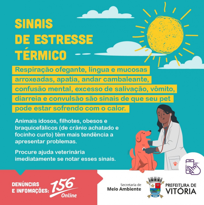 Dicas de como proteger seu pet do calor
