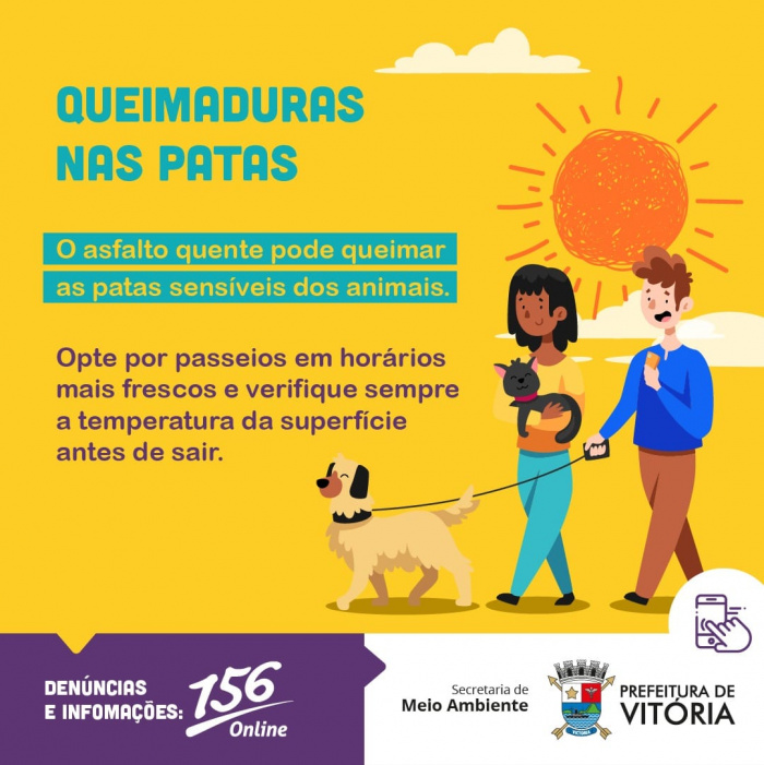 Dicas de como proteger seu pet do calor