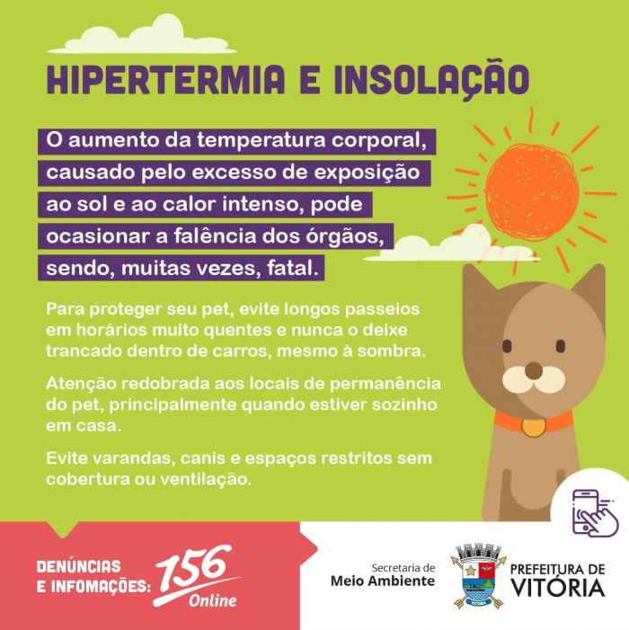 Dicas de como proteger seu pet do calor