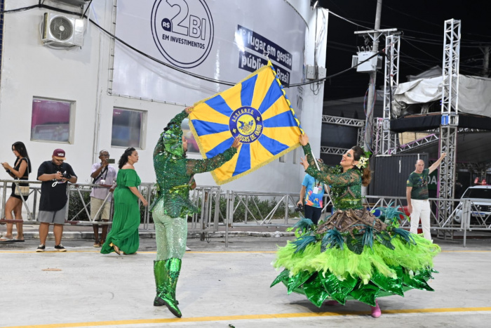 Carnaval 2024: Rosas de Ouro, campeã do grupo B