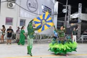 Carnaval 2024: Rosas de Ouro, campeã do grupo B
