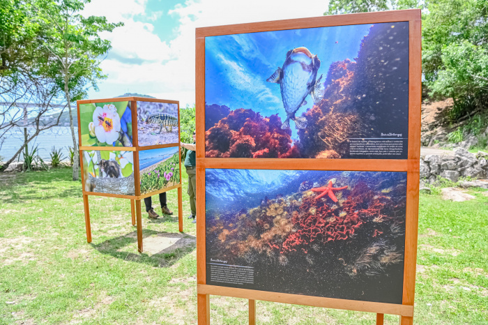 Lançamento do livro ”Baía das Tartarugas: riqueza marinha na capital do Espírito Santo