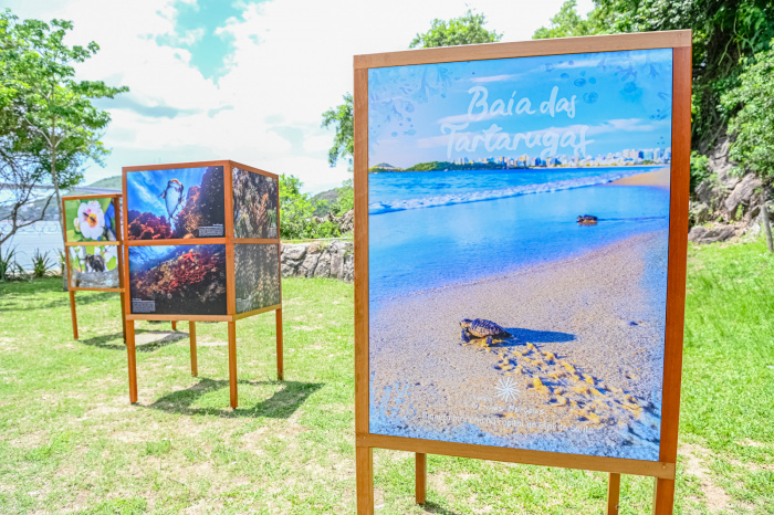 Lançamento do livro ”Baía das Tartarugas: riqueza marinha na capital do Espírito Santo