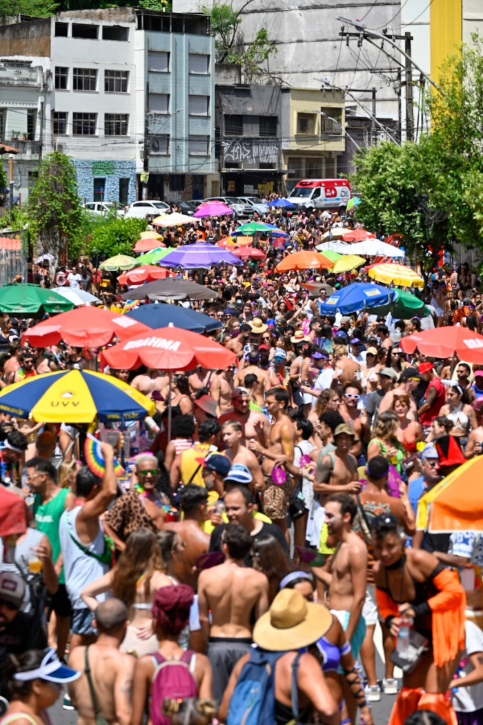 Bloco Amigos da Onça