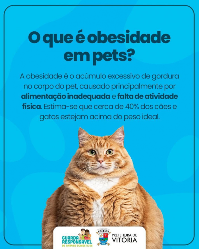 Obesidade em cães e gatos