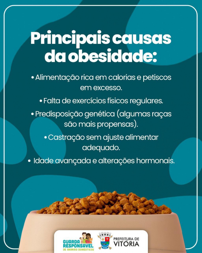 Obesidade em cães e gatos