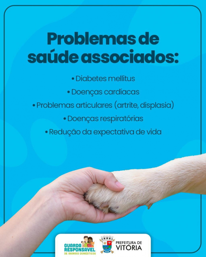 Obesidade em cães e gatos