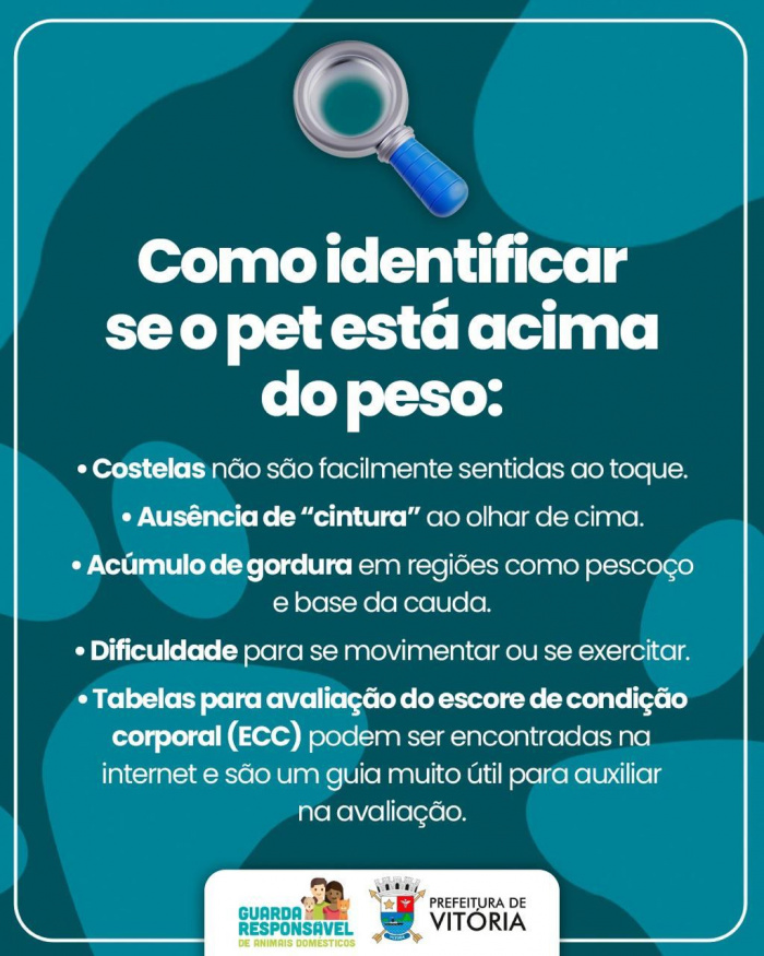 Obesidade em cães e gatos