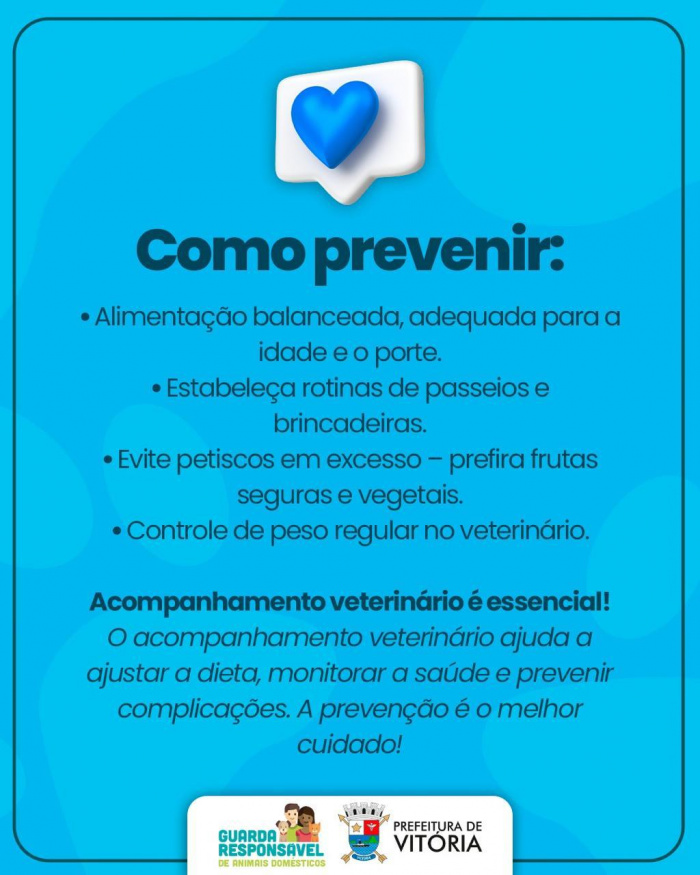 Obesidade em cães e gatos