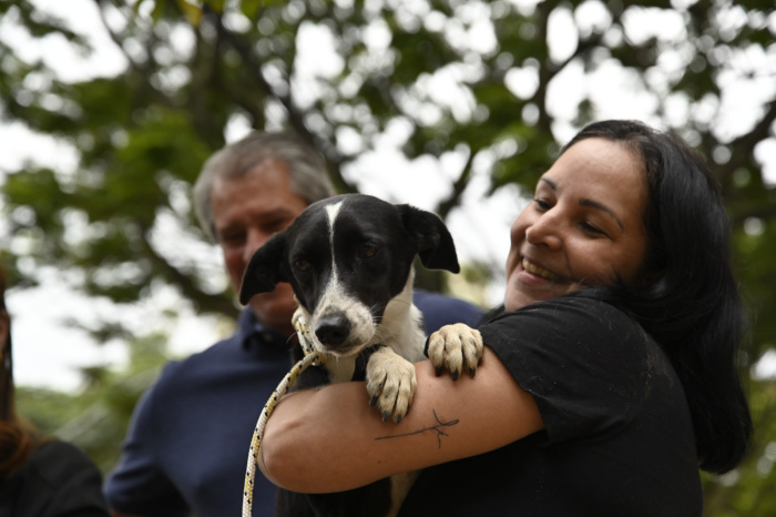 Portal de Adoção de Vitória: o clique que mudou para sempre o coração de duas cadelinhas