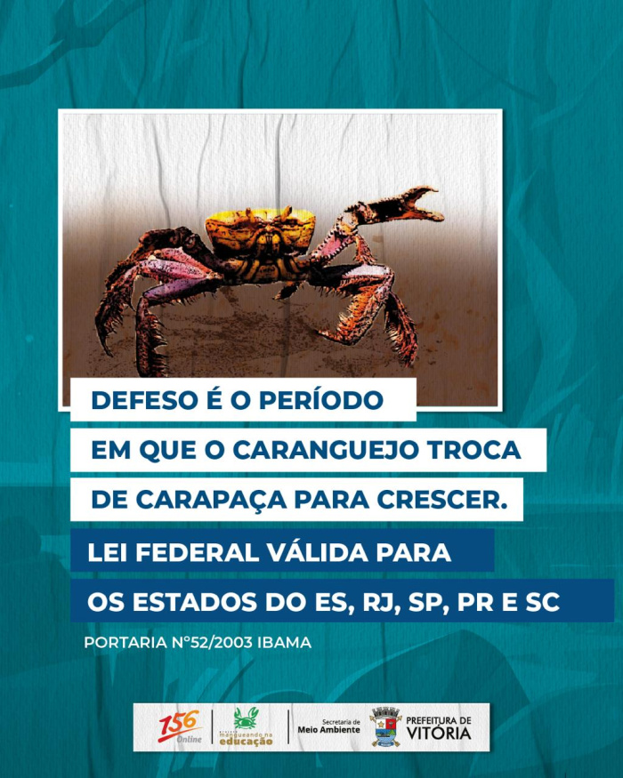 Período de defeso do caranguejo-uçá começa em 1º de outubro