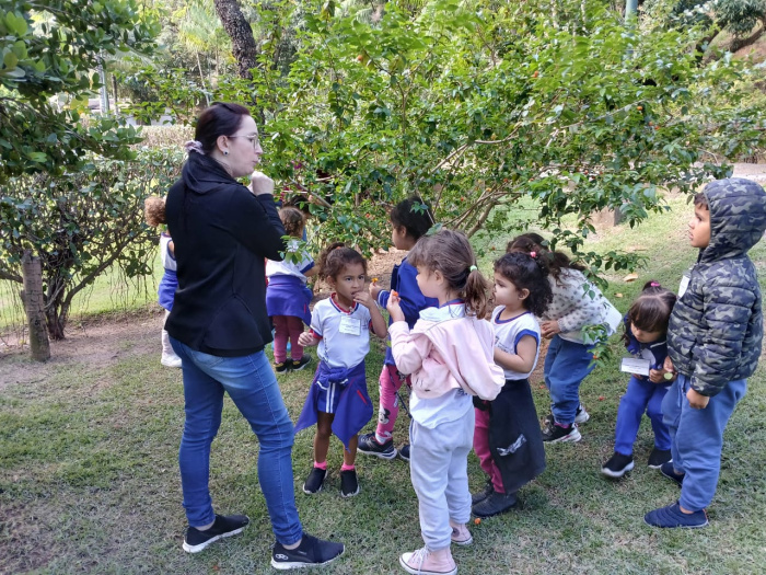 Educação ambiental na Mata Paludosa