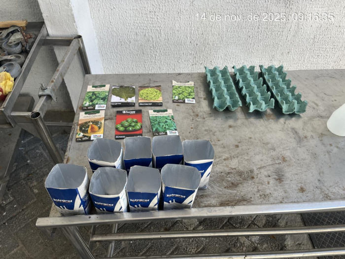 Oficina de horta movimenta Restaurante Popular e reforça autonomia alimentar