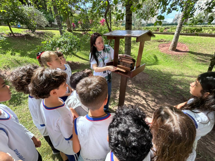 Um dia com as abelhas