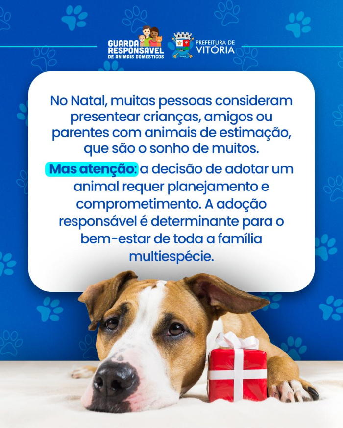 Animal não é presente