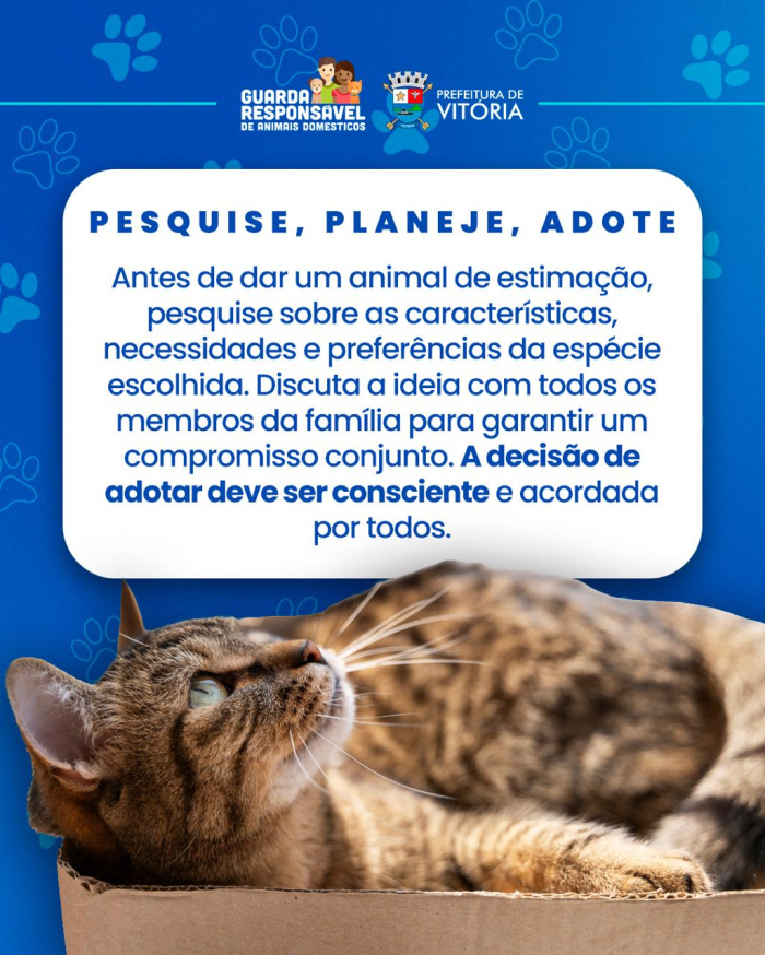 Animal não é presente