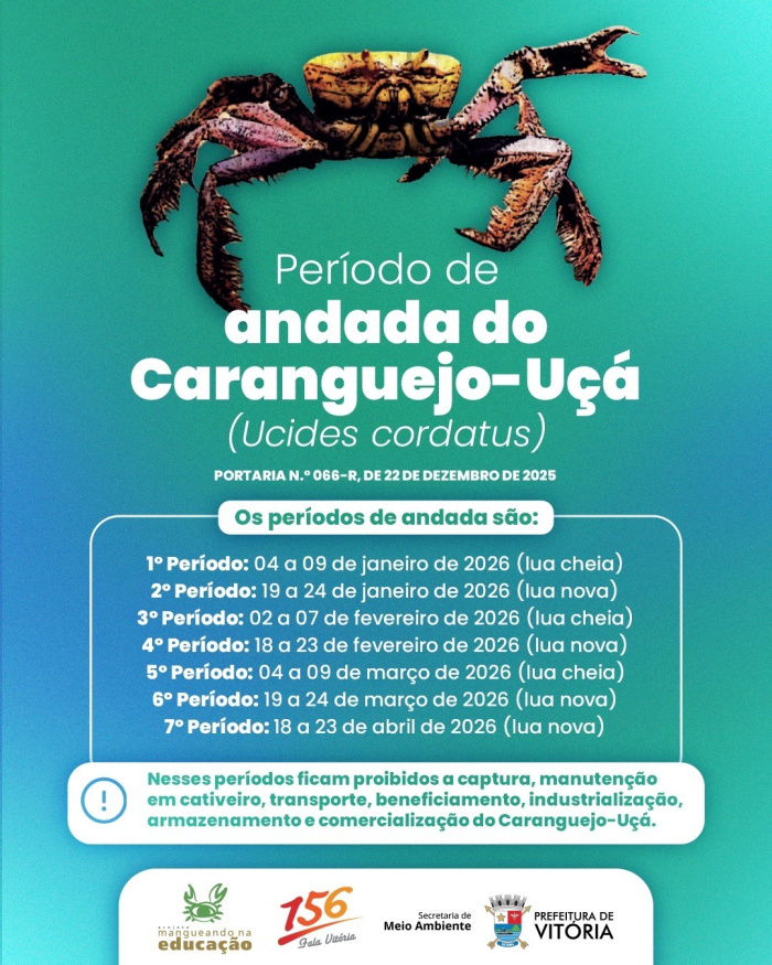 Período de andada do caranguejo-uçá