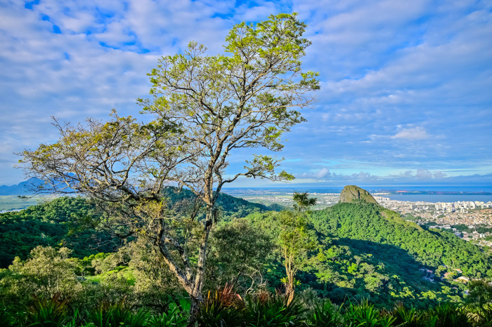 Parque da Fonte Grande - Panorâmica à partir do Novo Mirante da Cidade