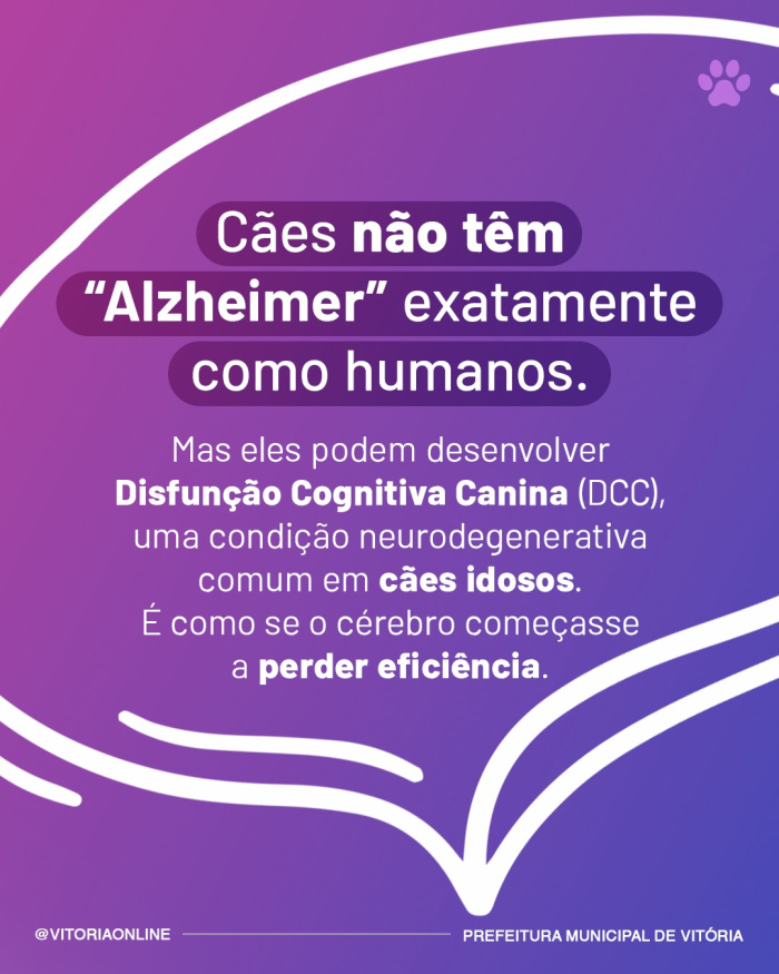 Campanha Meu Pet Pode Ter Alzheimer?