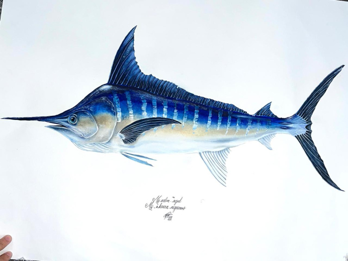 Exposição "Onda de Saberes".