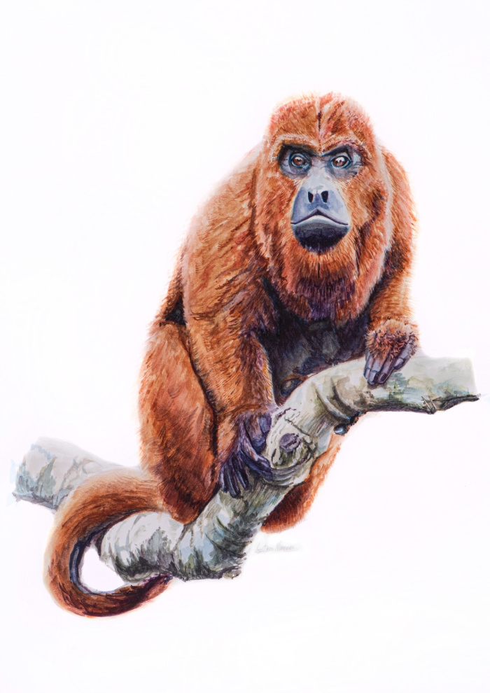 Exposição "Onda de Saberes".