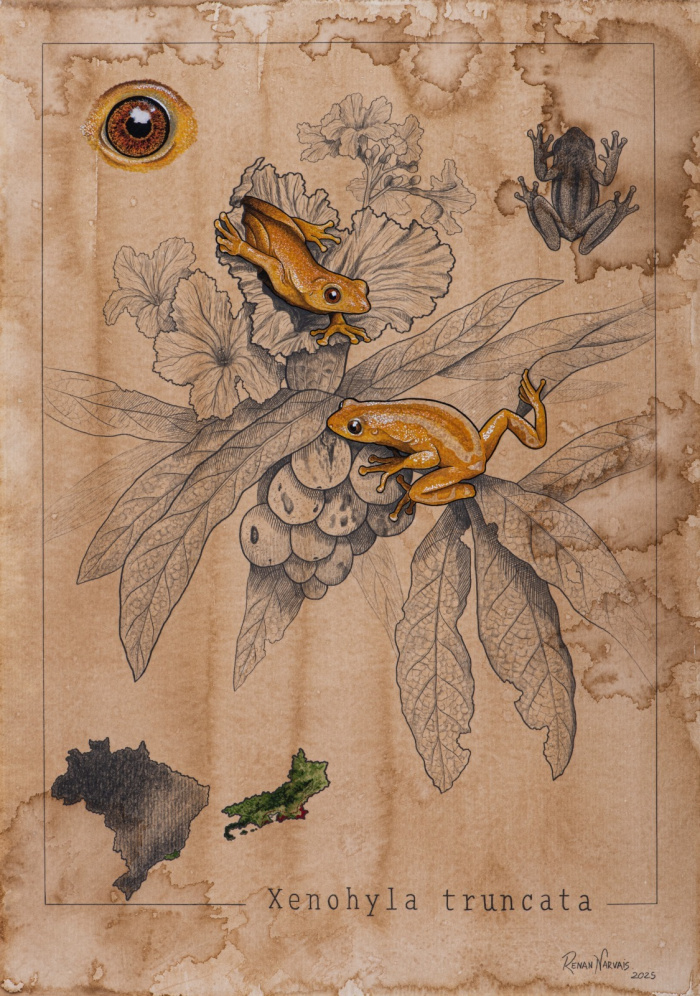 Exposição "Onda de saberes".