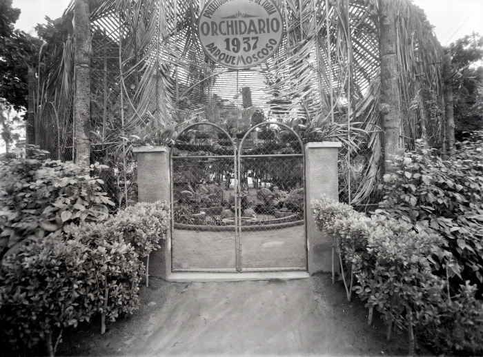 Portão do Orquidário do Parque Moscoso. Década de 1930