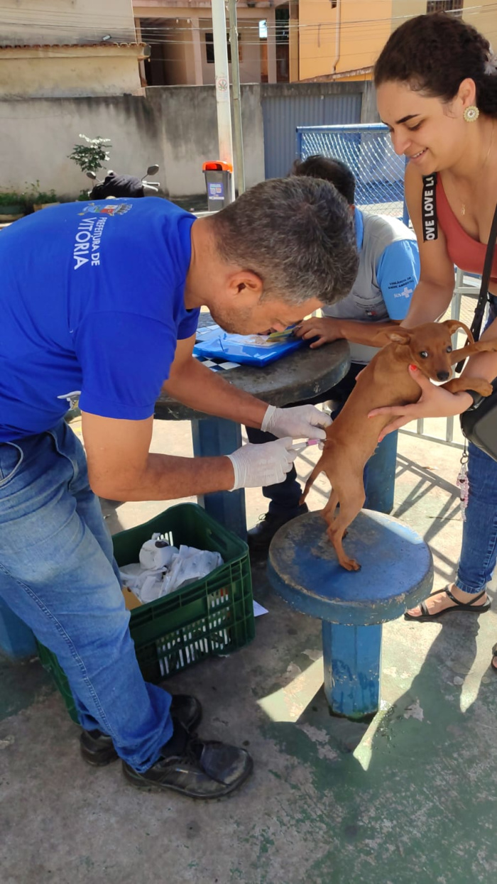 Vitória vacina mais de 8,1 mil cães e gatos no primeiro dia de campanha antirrábica
