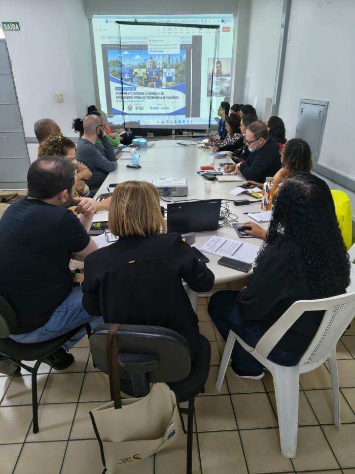 Comitê de Gestão ColegiadaProtege Vix