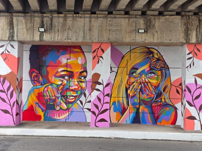 Grafite viaduto araceli praia de camburi