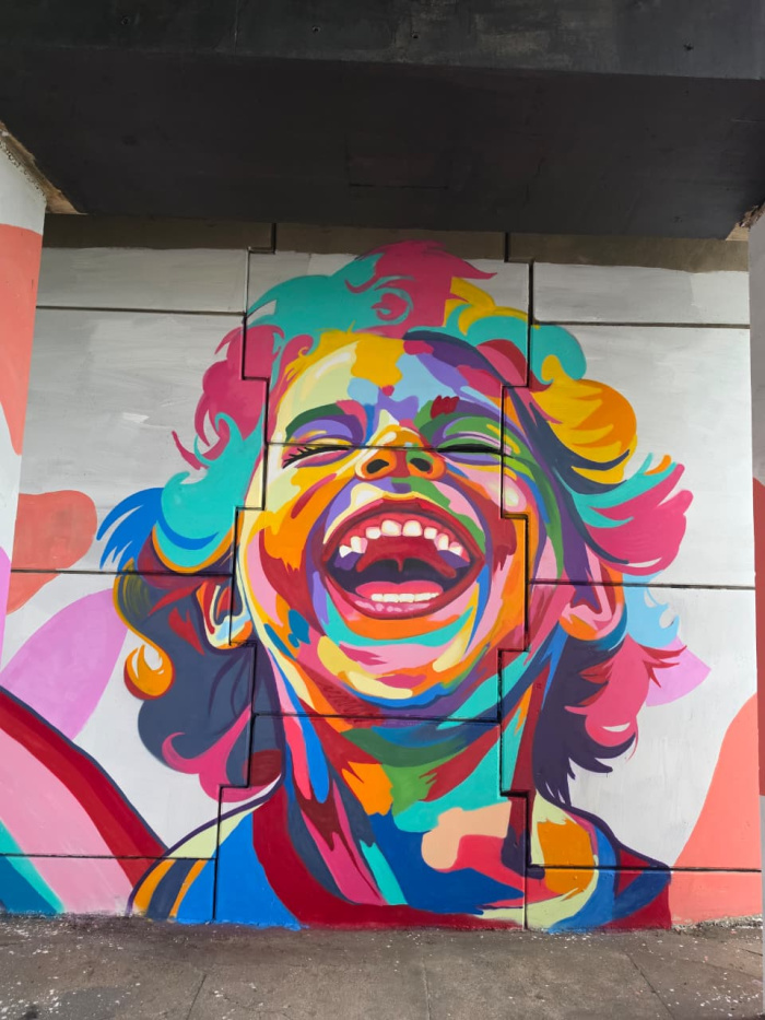 Grafite viaduto araceli praia de camburi