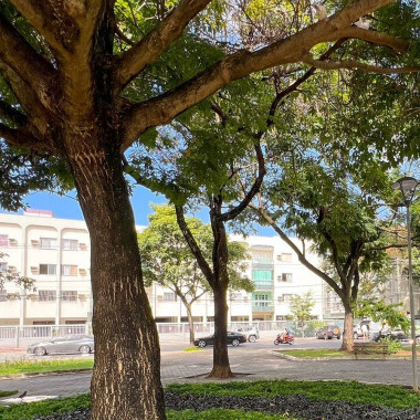 Praça em Jardim da Penha (ao utilizar a hashtag #eusouvitoria sua foto pode aparecer aqui).